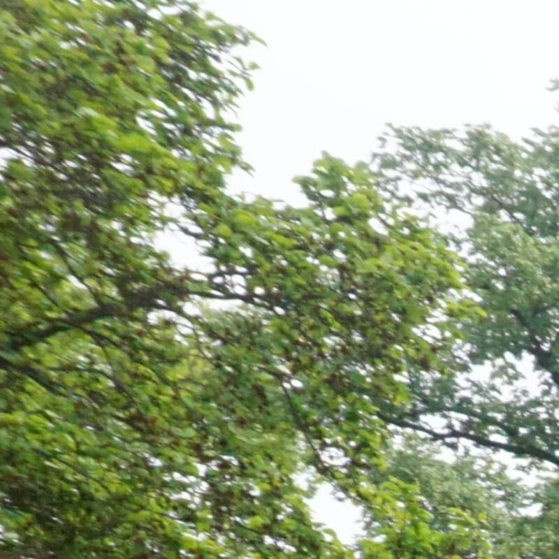 Profile picture of Aleph Agency Support Team